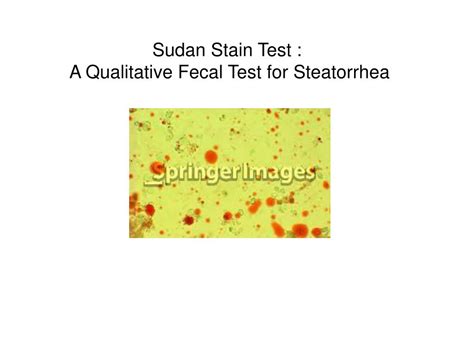 sudan stain test.